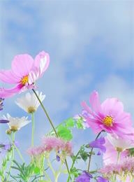 welcome大发系统-追求康健,你我一起生长