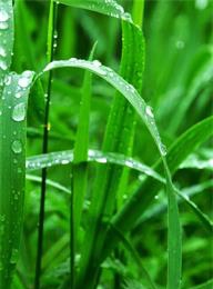 welcome大发系统-追求康健,你我一起生长