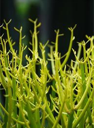 welcome大发系统-追求康健,你我一起生长