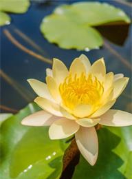 welcome大发系统-追求康健,你我一起生长