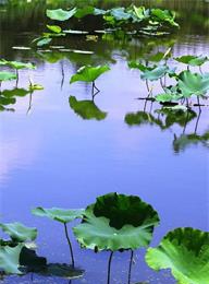 welcome大发系统-追求康健,你我一起生长