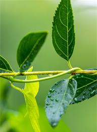 welcome大发系统-追求康健,你我一起生长