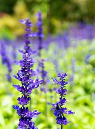 welcome大发系统-追求康健,你我一起生长