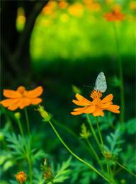 welcome大发系统-追求康健,你我一起生长