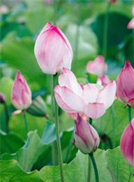 welcome大发系统-追求康健,你我一起生长