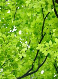 welcome大发系统-追求康健,你我一起生长