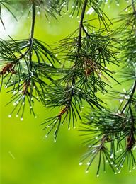 welcome大发系统-追求康健,你我一起生长