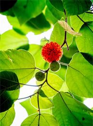 welcome大发系统-追求康健,你我一起生长