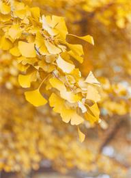 welcome大发系统-追求康健,你我一起生长