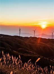 welcome大发系统-追求康健,你我一起生长