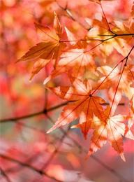 welcome大发系统-追求康健,你我一起生长