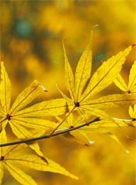 welcome大发系统-追求康健,你我一起生长