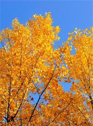 welcome大发系统-追求康健,你我一起生长