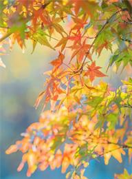 welcome大发系统-追求康健,你我一起生长