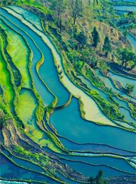 welcome大发系统-追求康健,你我一起生长