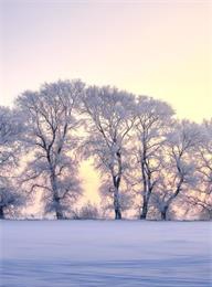 welcome大发系统-追求康健,你我一起生长