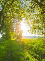 welcome大发系统-追求康健,你我一起生长