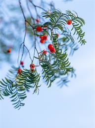 welcome大发系统-追求康健,你我一起生长