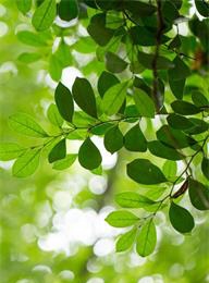 welcome大发系统-追求康健,你我一起生长