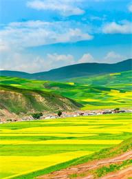 welcome大发系统-追求康健,你我一起生长