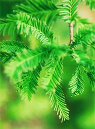 welcome大发系统-追求康健,你我一起生长