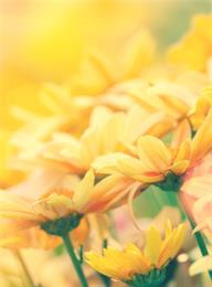 welcome大发系统-追求康健,你我一起生长