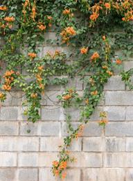 welcome大发系统-追求康健,你我一起生长