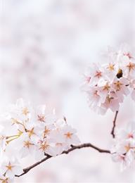 welcome大发系统-追求康健,你我一起生长