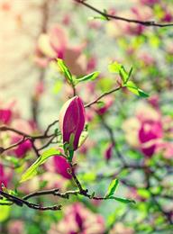 welcome大发系统-追求康健,你我一起生长