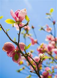 welcome大发系统-追求康健,你我一起生长