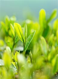 welcome大发系统-追求康健,你我一起生长