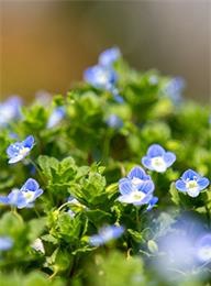 welcome大发系统-追求康健,你我一起生长