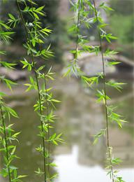 welcome大发系统-追求康健,你我一起生长