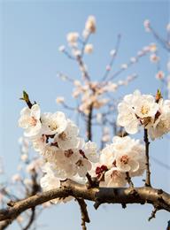 welcome大发系统-追求康健,你我一起生长