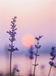 welcome大发系统-追求康健,你我一起生长