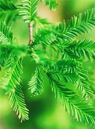 welcome大发系统-追求康健,你我一起生长