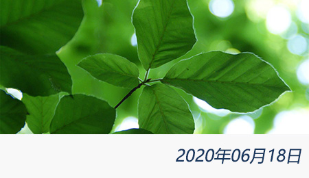 welcome大发系统-追求康健,你我一起生长