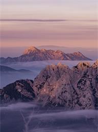 welcome大发系统-追求康健,你我一起生长