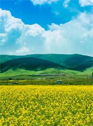 welcome大发系统-追求康健,你我一起生长