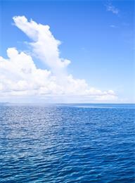 welcome大发系统-追求康健,你我一起生长