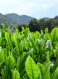 welcome大发系统-追求康健,你我一起生长