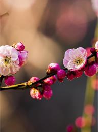 welcome大发系统-追求康健,你我一起生长