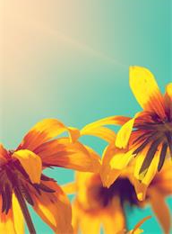 welcome大发系统-追求康健,你我一起生长