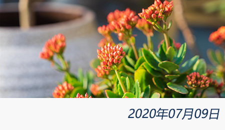 welcome大发系统-追求康健,你我一起生长