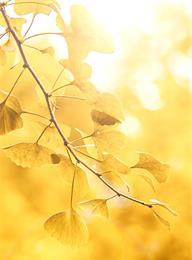 welcome大发系统-追求康健,你我一起生长