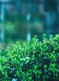 welcome大发系统-追求康健,你我一起生长