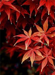 welcome大发系统-追求康健,你我一起生长