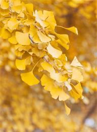 welcome大发系统-追求康健,你我一起生长