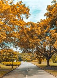 welcome大发系统-追求康健,你我一起生长