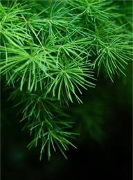 welcome大发系统-追求康健,你我一起生长